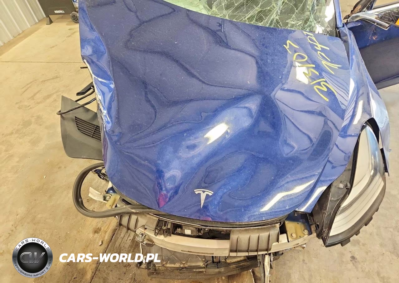 2019 Tesla Model 3 VIN:5YJ3E1EBXKF210995 - 11