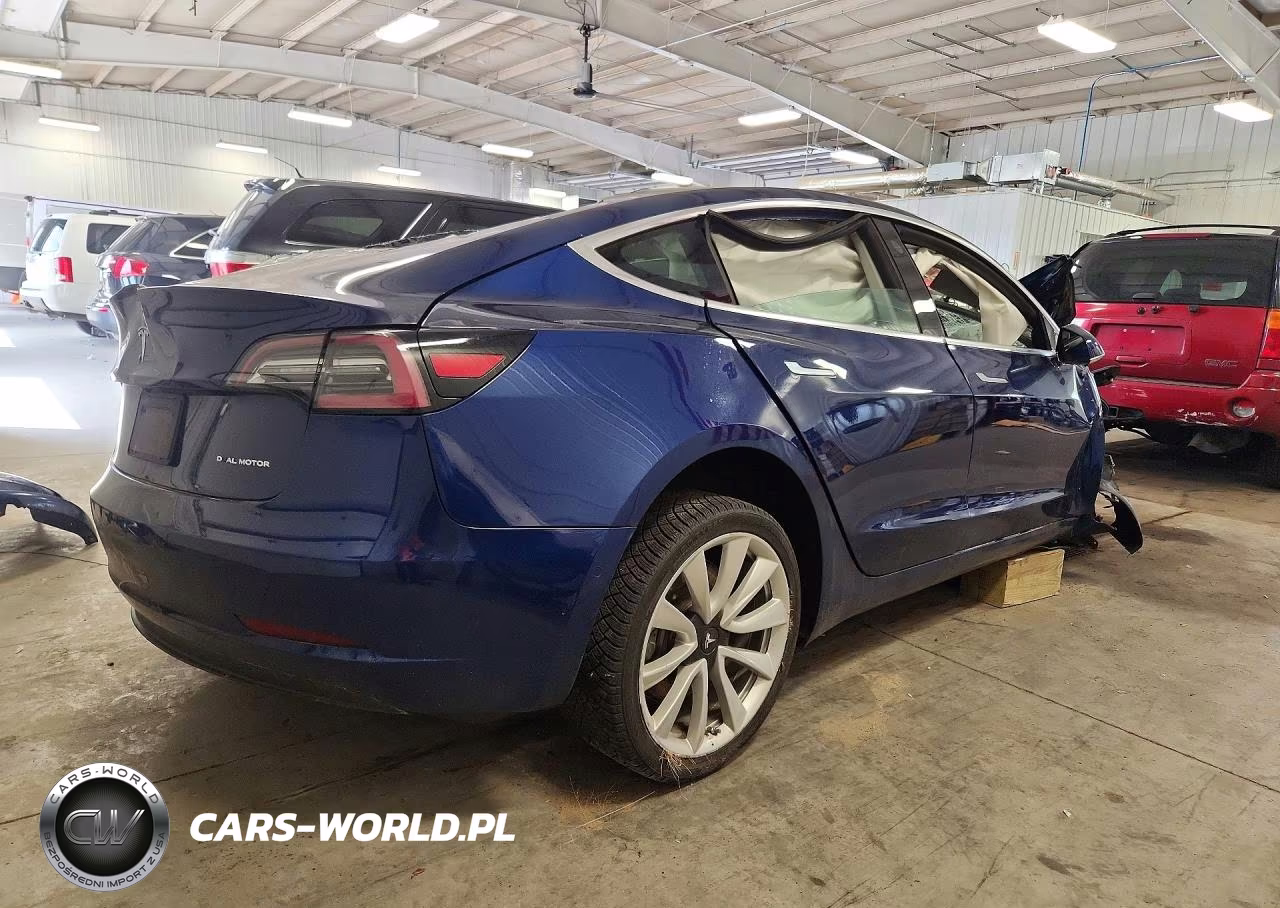 2019 Tesla Model 3 VIN:5YJ3E1EBXKF210995 - 3