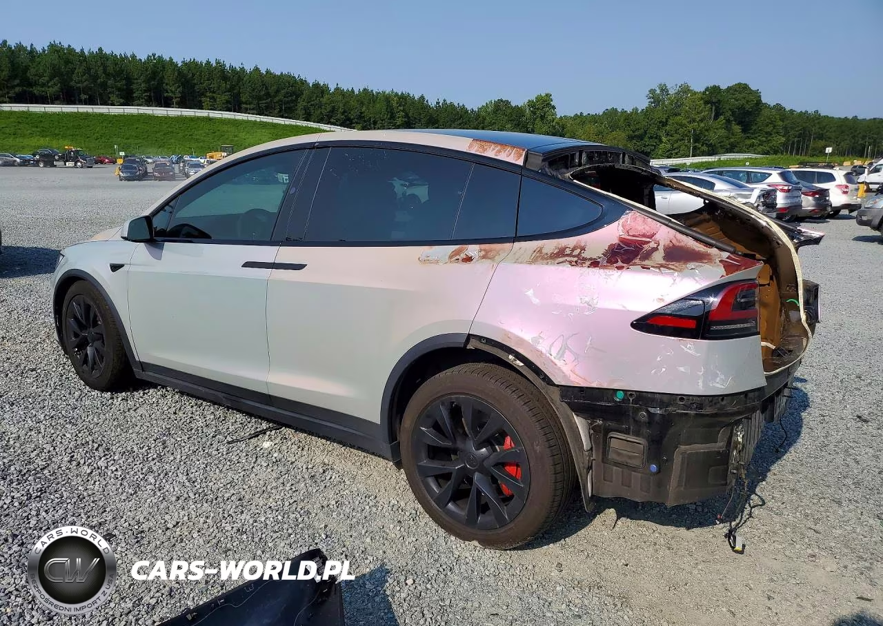 2023 Tesla Model X VIN:7SAXCBE64PF395426 - 2