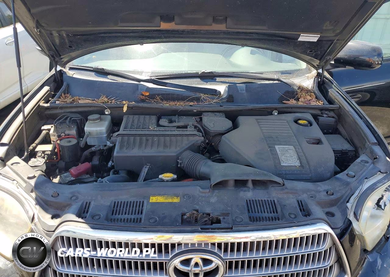 2008 Toyota Highlander Hybrid VIN:JTEEW41A882010161 - 12