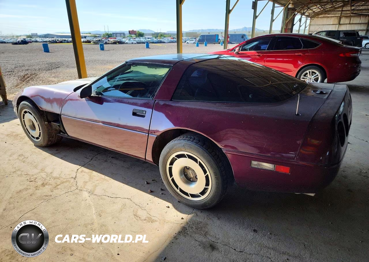 1995 Chevrolet Corvette VIN:1G1YY22P9S5117916 - 2
