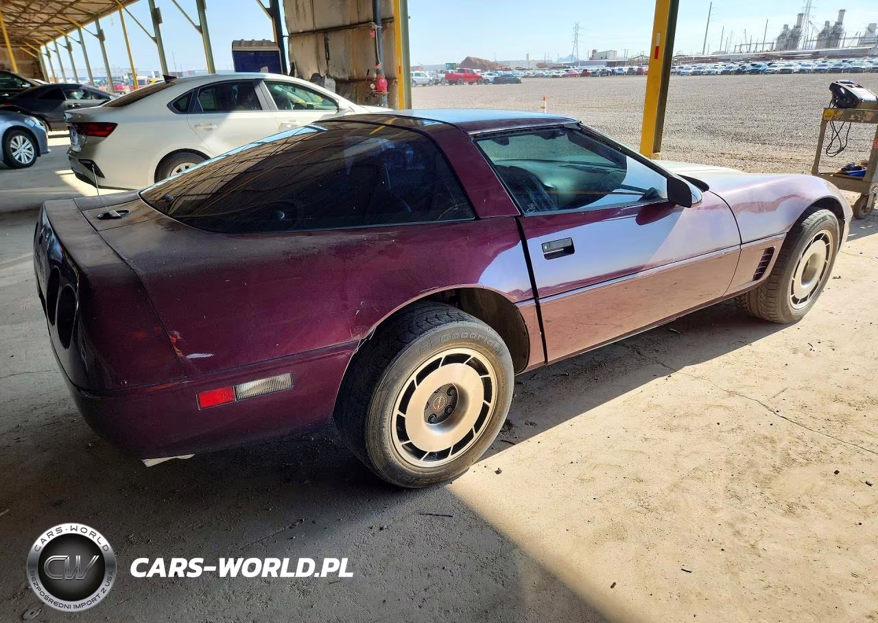 1995 Chevrolet Corvette VIN:1G1YY22P9S5117916 - 3