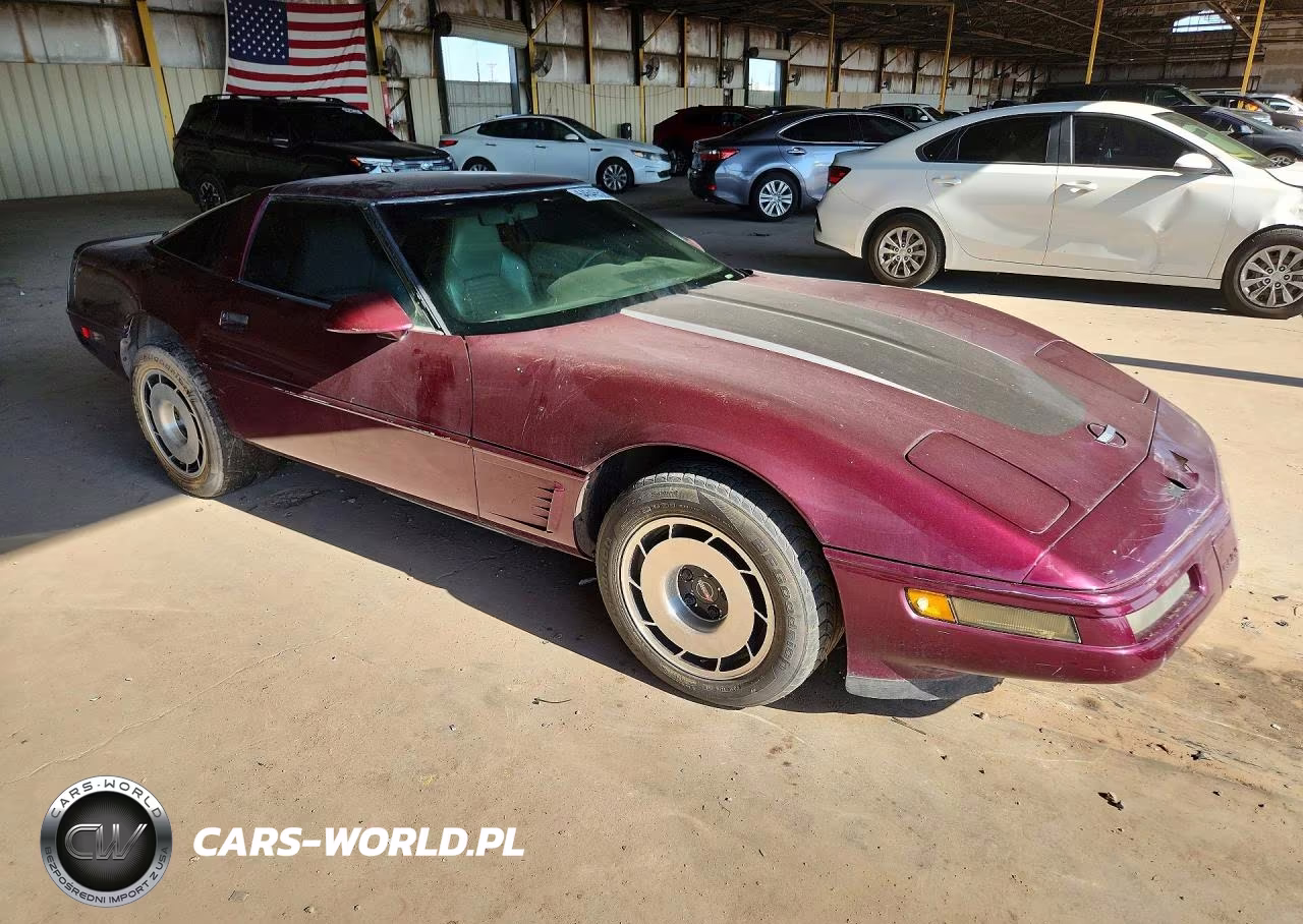 1995 Chevrolet Corvette VIN:1G1YY22P9S5117916 - 4