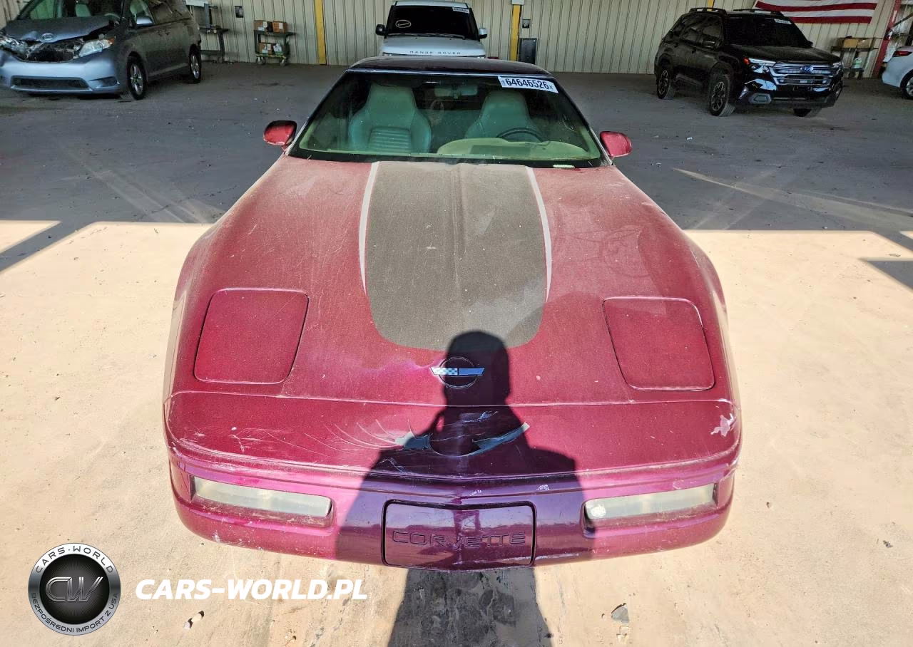1995 Chevrolet Corvette VIN:1G1YY22P9S5117916 - 5