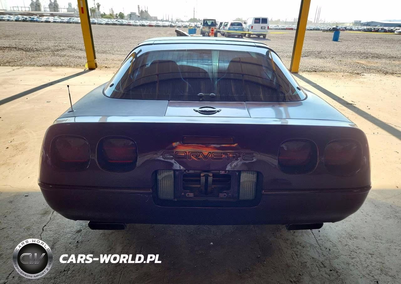 1995 Chevrolet Corvette VIN:1G1YY22P9S5117916 - 6