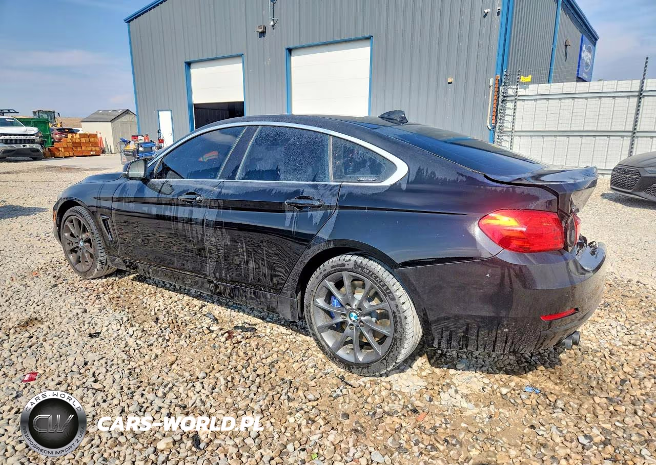 2017 BMW 430Xi Gran Coupe VIN:WBA4F9C31HG812630 - 2