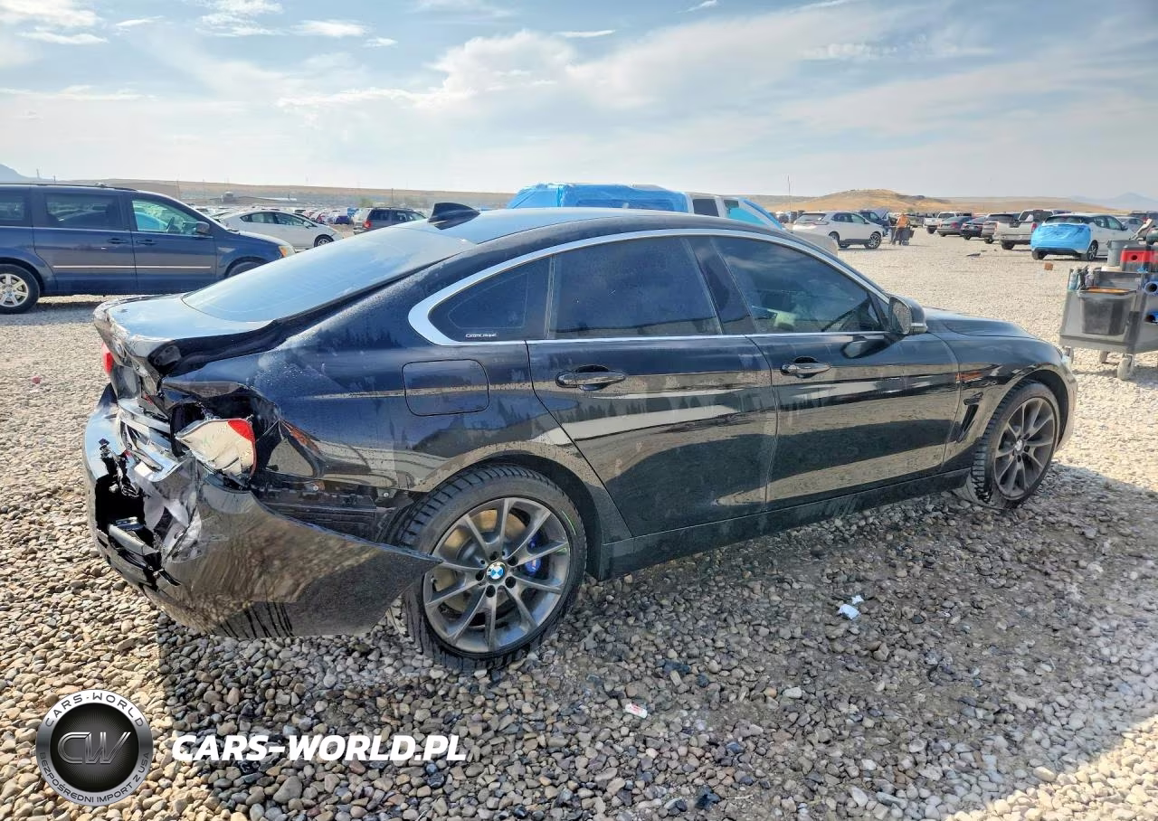 2017 BMW 430Xi Gran Coupe VIN:WBA4F9C31HG812630 - 3