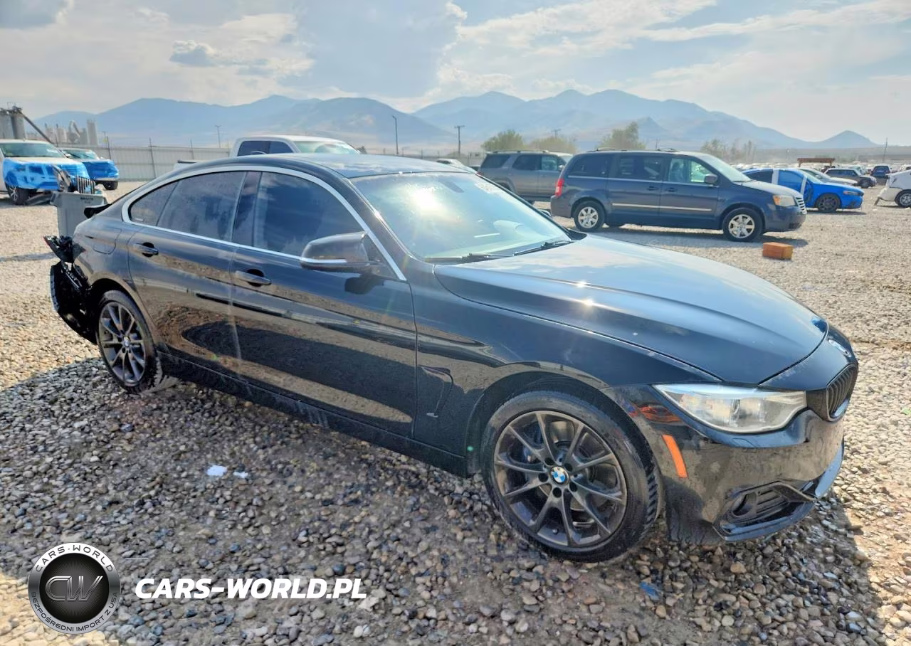 2017 BMW 430Xi Gran Coupe VIN:WBA4F9C31HG812630 - 4