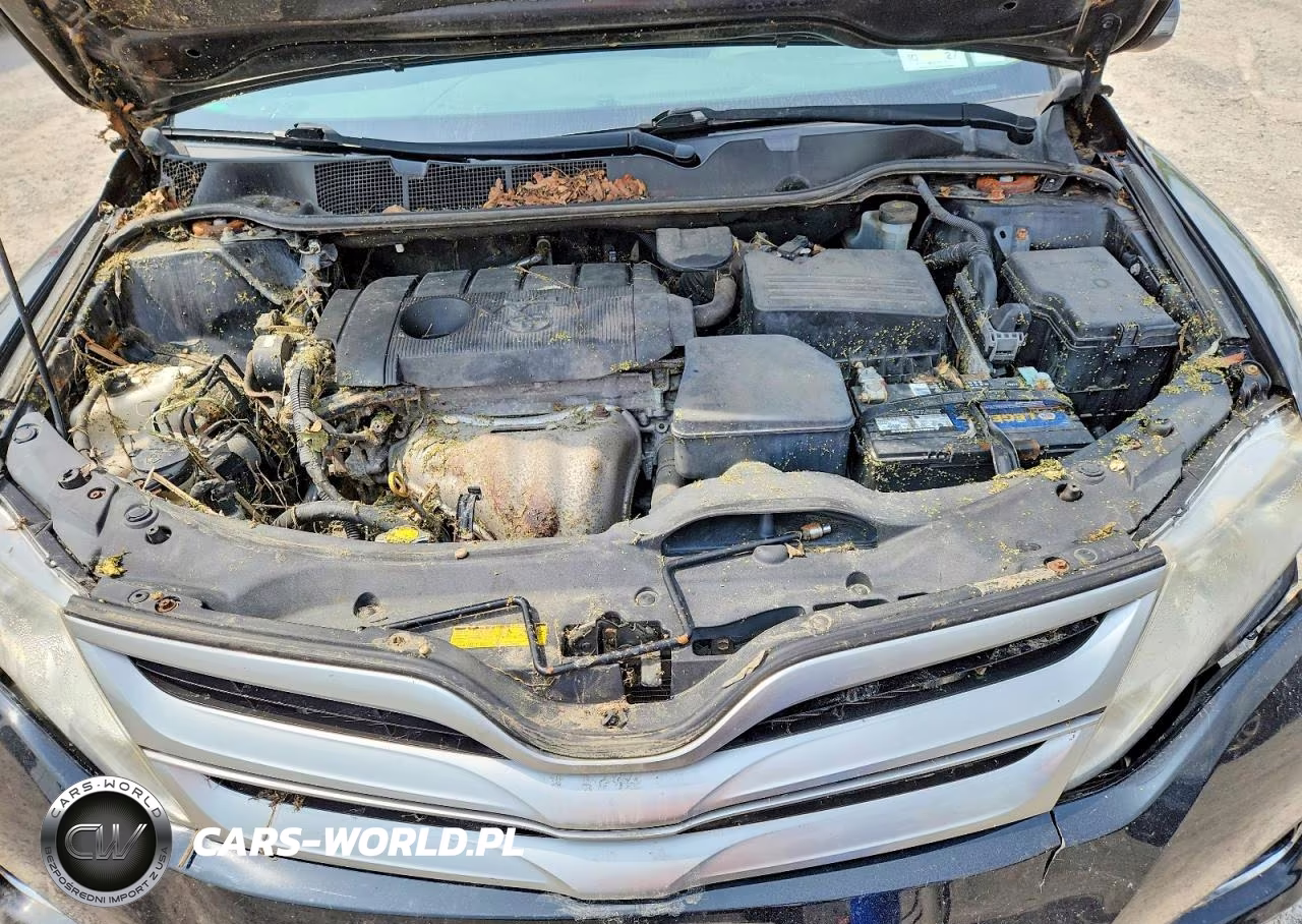 2013 Toyota Venza Le VIN:4T3ZA3BB5DU075198 - 12