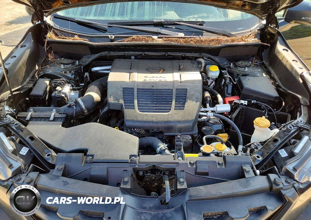 2024 Subaru Forester Wilderness VIN:JF2SKAJC6RH524853 - 12