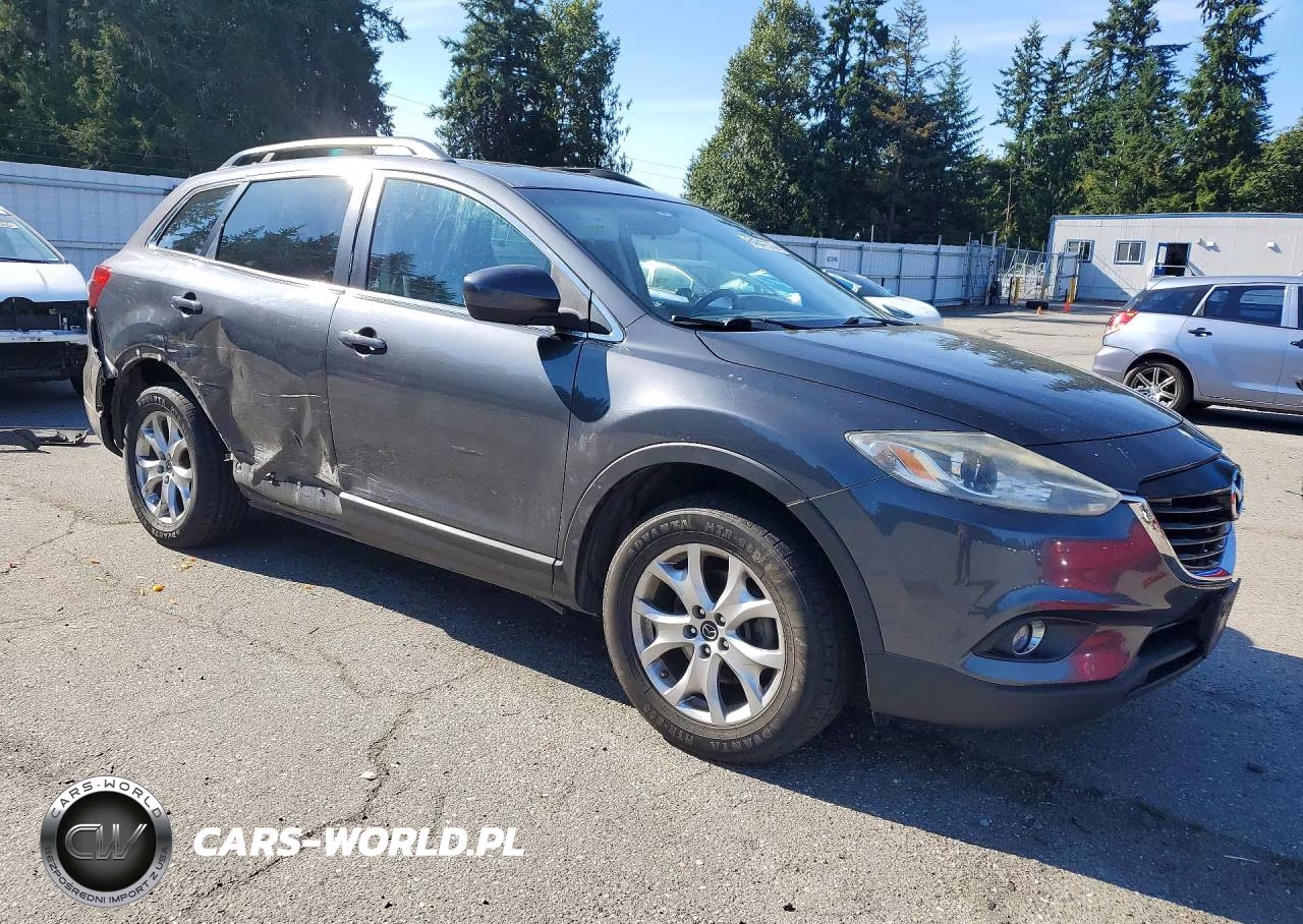 2014 Mazda Cx-9 Touring VIN:JM3TB3CV9E0429099 - 4