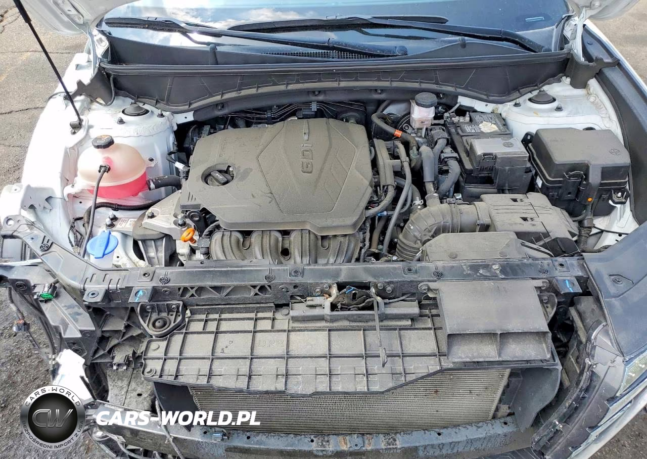2024 Hyundai Tucson Sel VIN:5NMJBCDE8RH348342 - 12