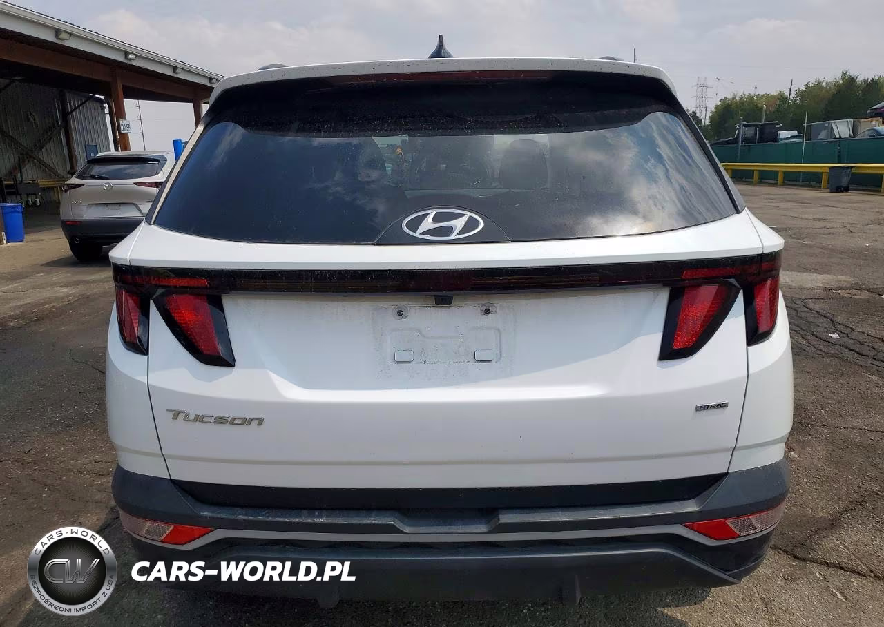 2024 Hyundai Tucson Sel VIN:5NMJBCDE8RH348342 - 6
