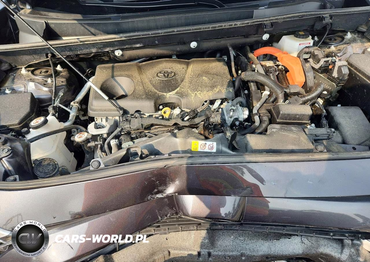 2025 Toyota Rav4 VIN:2T3RWRFV6SW262553 - 12