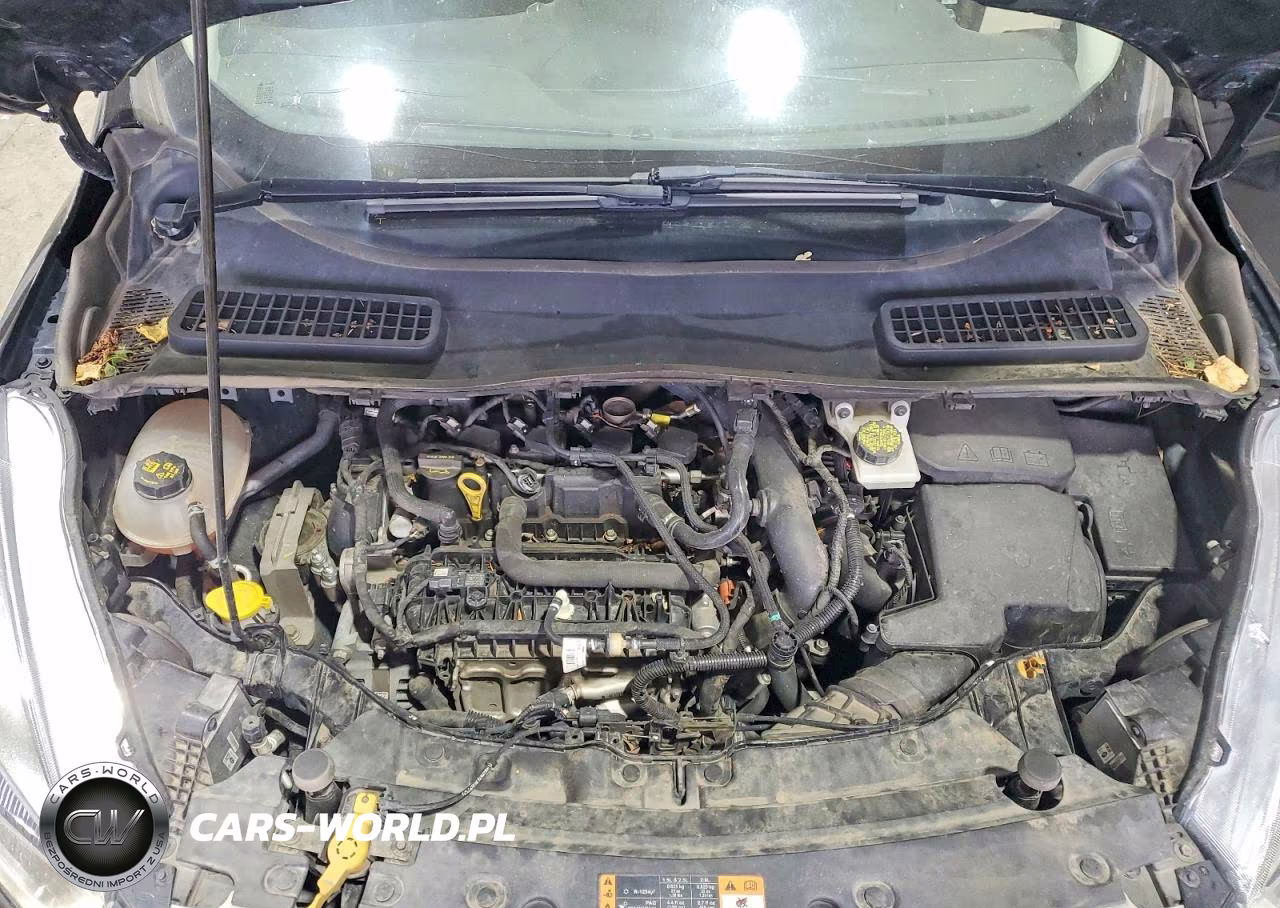 2019 Ford Escape Sel VIN:1FMCU9HD2KUB90355 - 12