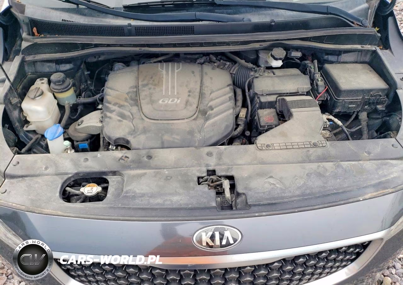 2015 Kia Sedona Lx VIN:KNDMB5C13F6069302 - 12