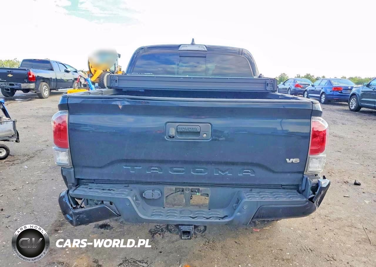 2020 Toyota Tacoma Trd Sport VIN:3TMCZ5AN4LM348637 - 6
