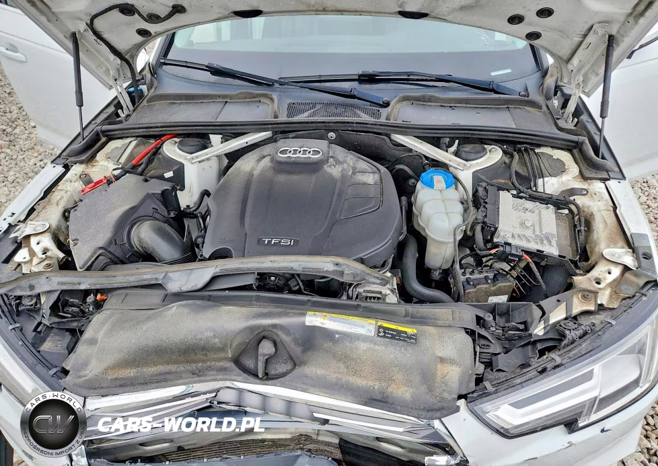 2018 Audi A4 Premium Plus VIN:WAUENAF41JN003059 - 11