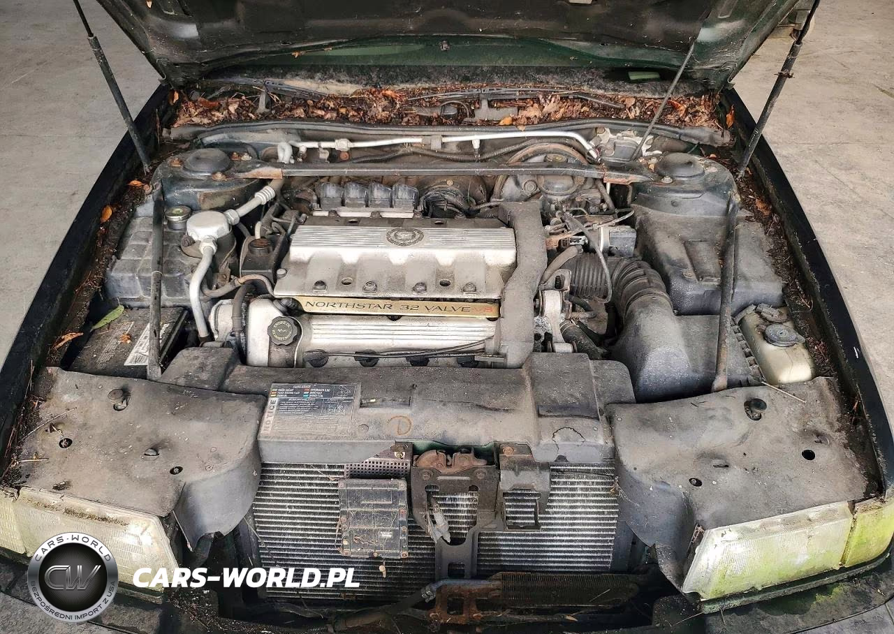 1994 Cadillac Eldorado VIN:1G6EL12Y2RU623974 - 11