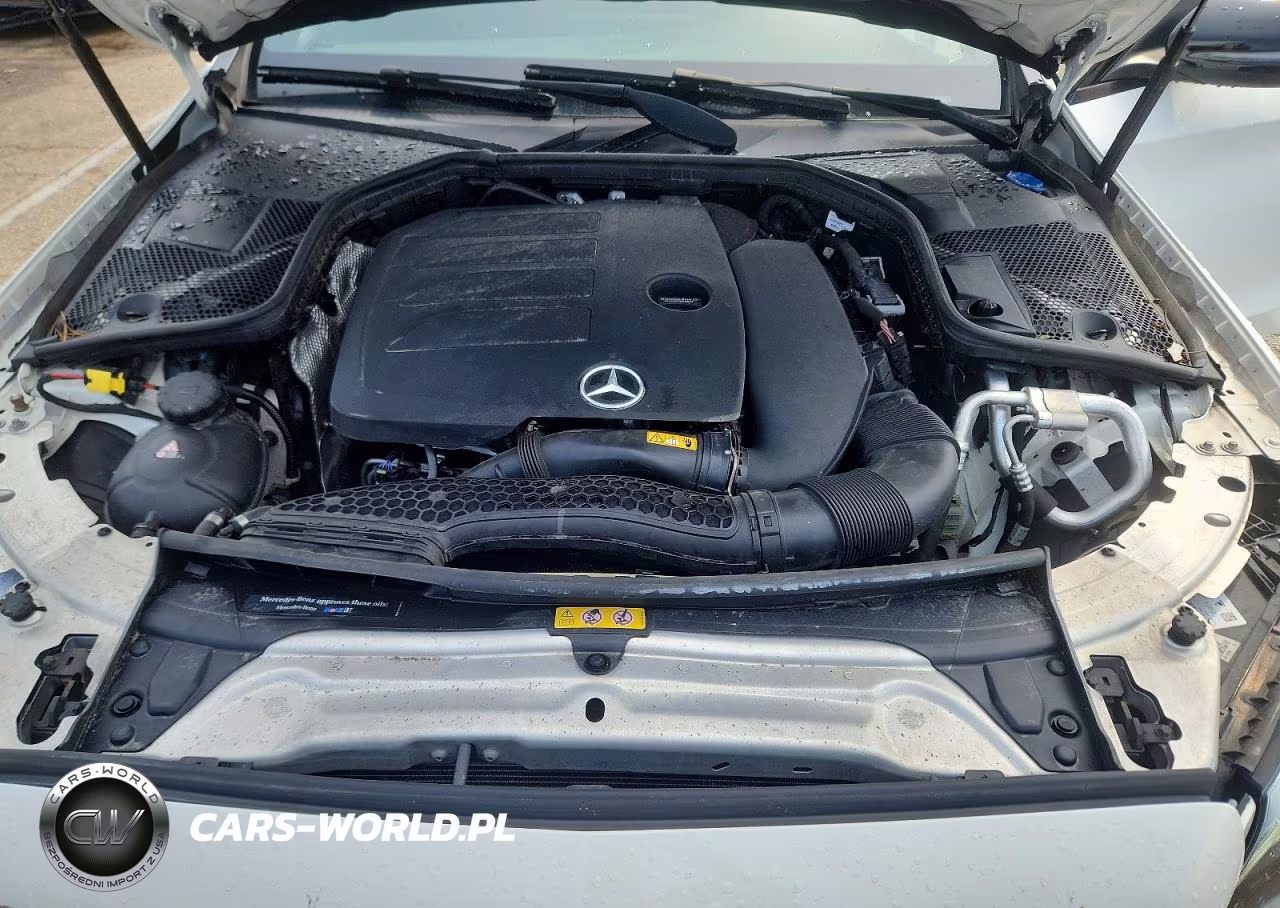 2019 Mercedes-Benz C 300 4Matic VIN:55SWF8EB1KU319105 - 11