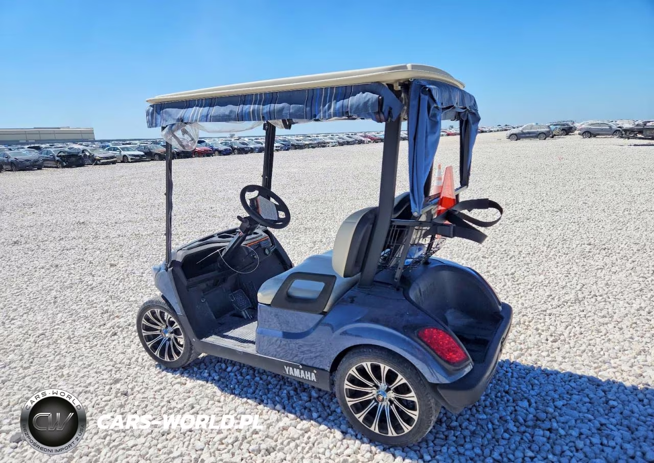 2022 Yamaha Dr2A22 Golf Cart VIN:J0D503849 - 3