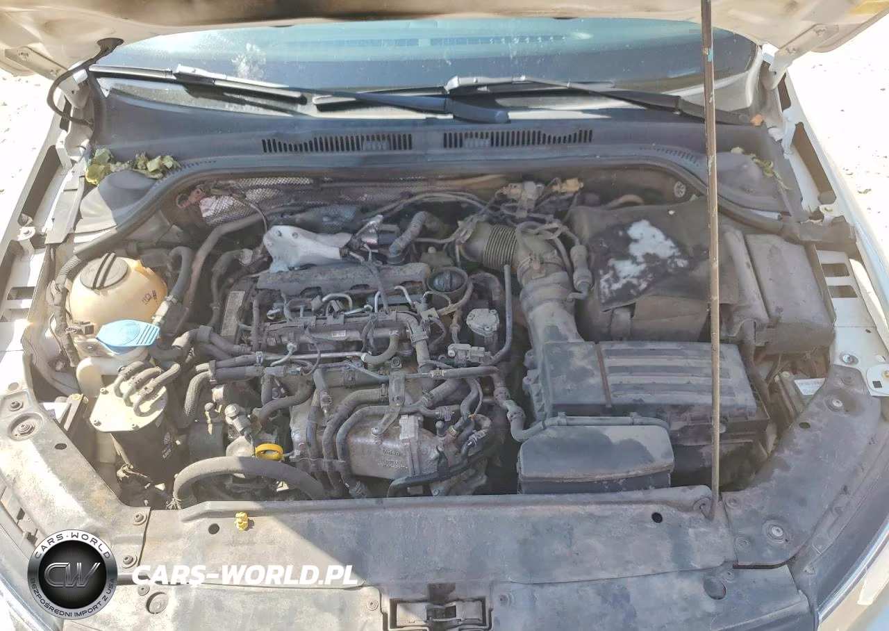 2015 Volkswagen Jetta Tdi VIN:3VWLA7AJ6FM203696 - 11