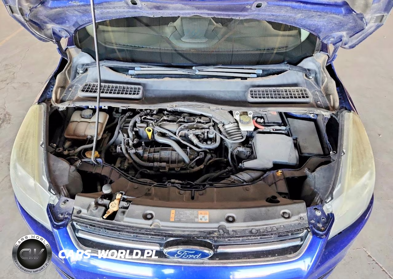 2013 Ford Escape Sel VIN:1FMCU0HX8DUB40357 - 12