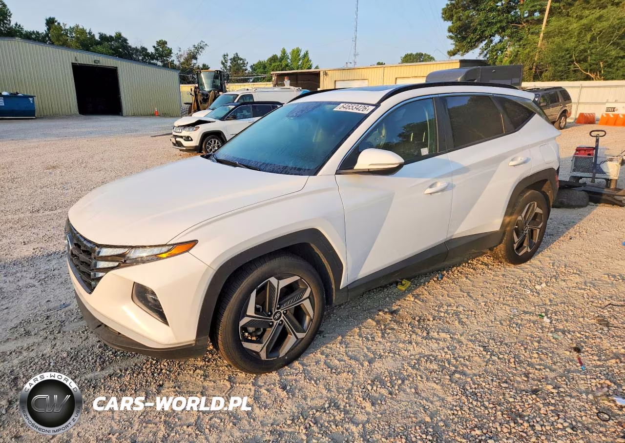 2023 Hyundai Tucson Sel VIN:5NMJF3AE0PH231702 - 1