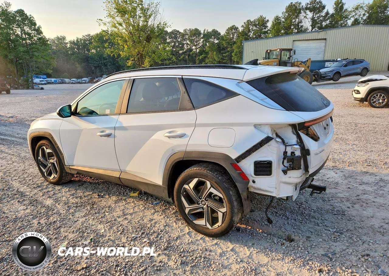 2023 Hyundai Tucson Sel VIN:5NMJF3AE0PH231702 - 2