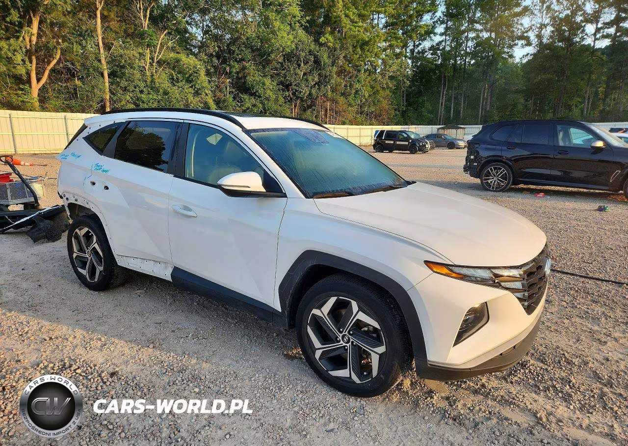 2023 Hyundai Tucson Sel VIN:5NMJF3AE0PH231702 - 4