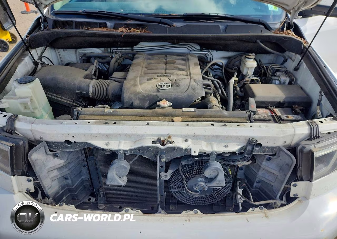 2019 Toyota Sequoia Sr5 VIN:5TDZY5G12KS072541 - 12