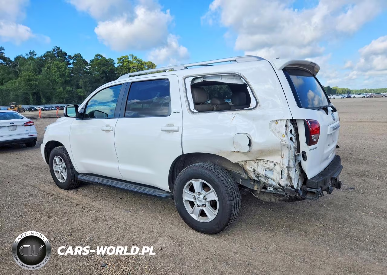 2019 Toyota Sequoia Sr5 VIN:5TDZY5G12KS072541 - 2