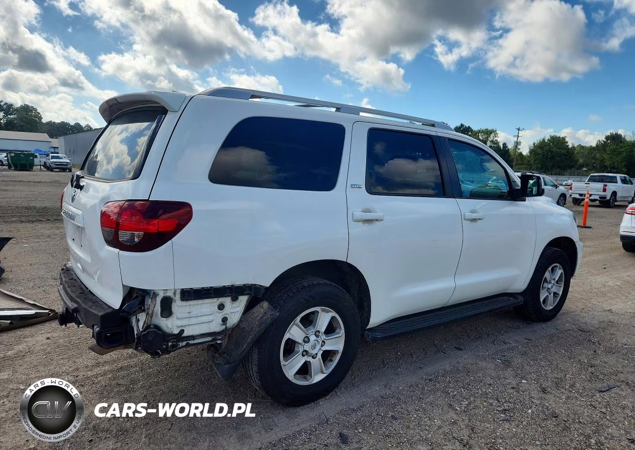 2019 Toyota Sequoia Sr5 VIN:5TDZY5G12KS072541 - 3
