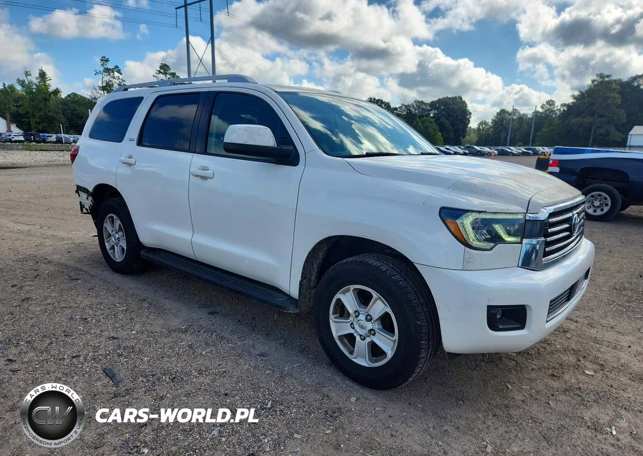 2019 Toyota Sequoia Sr5 VIN:5TDZY5G12KS072541 - 4