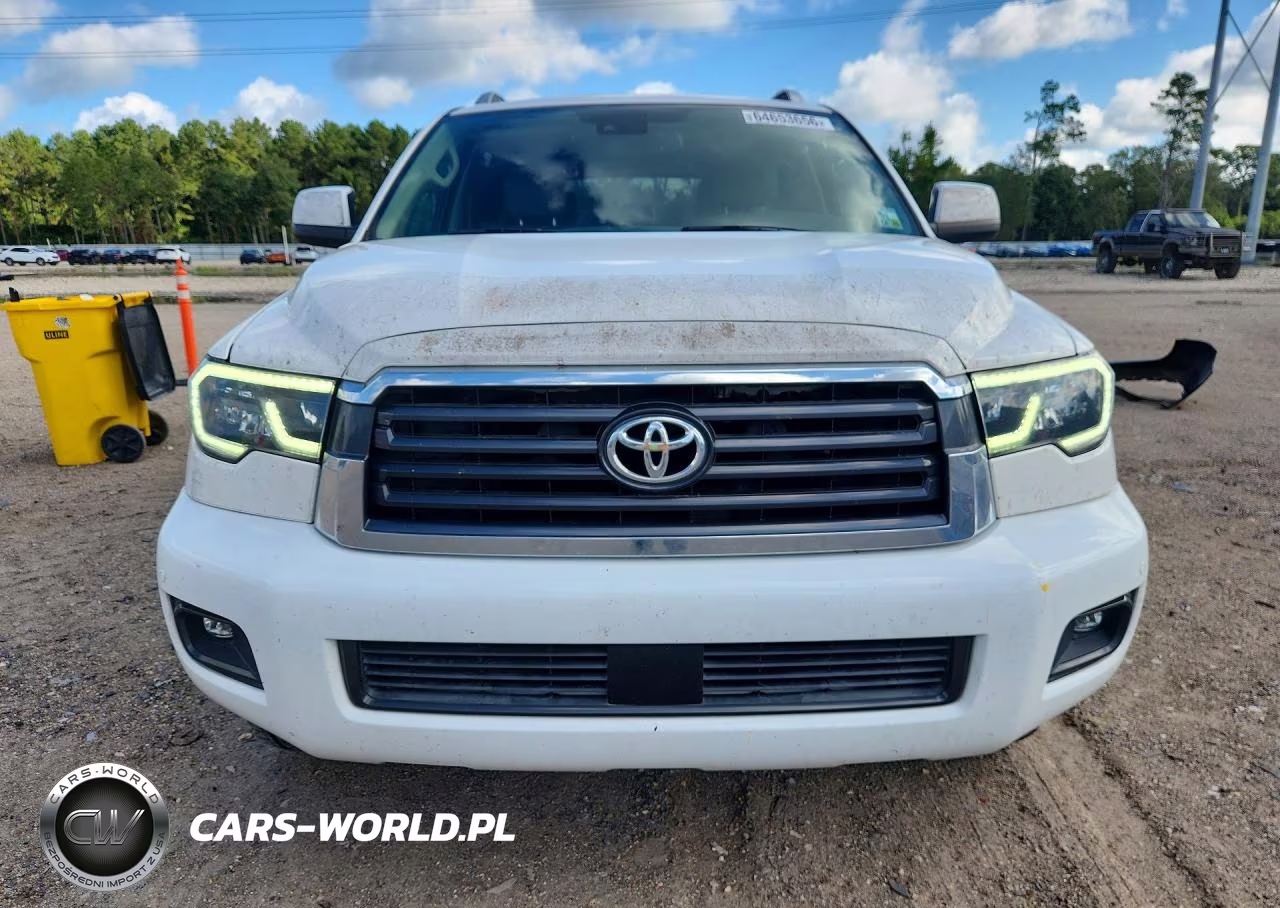 2019 Toyota Sequoia Sr5 VIN:5TDZY5G12KS072541 - 5