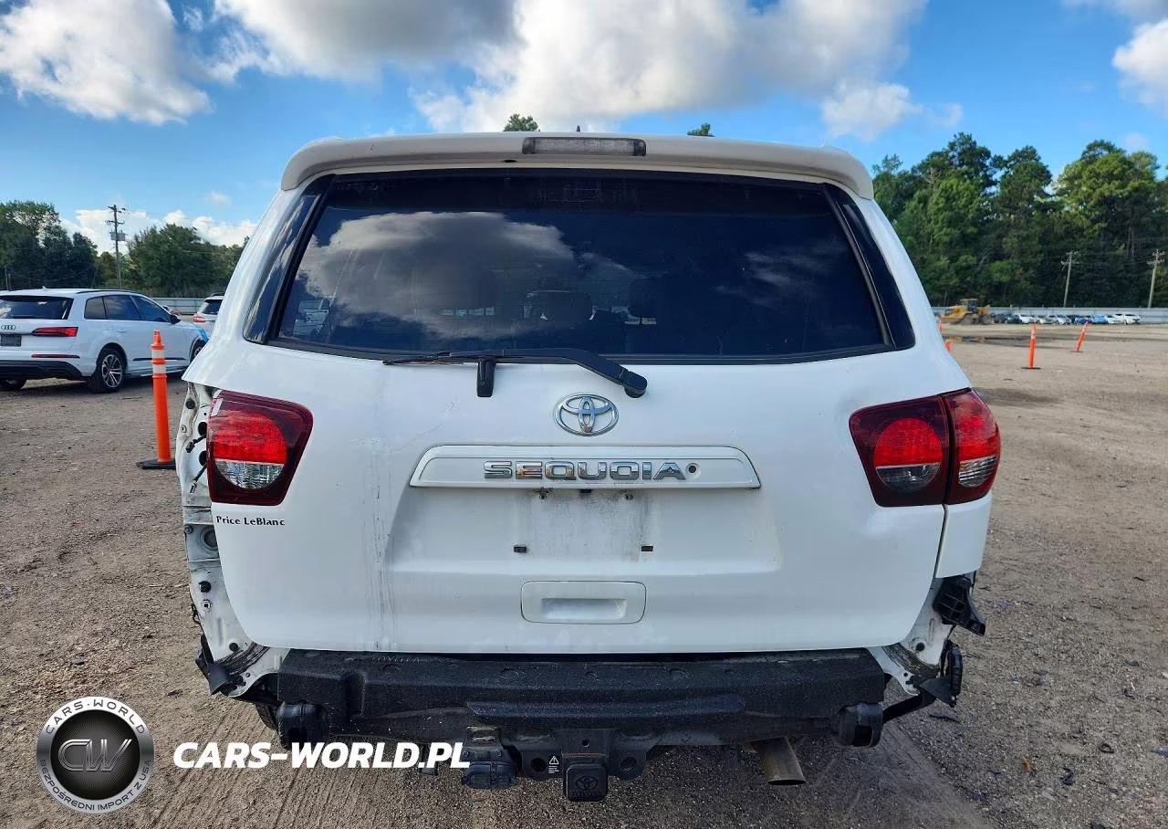 2019 Toyota Sequoia Sr5 VIN:5TDZY5G12KS072541 - 6