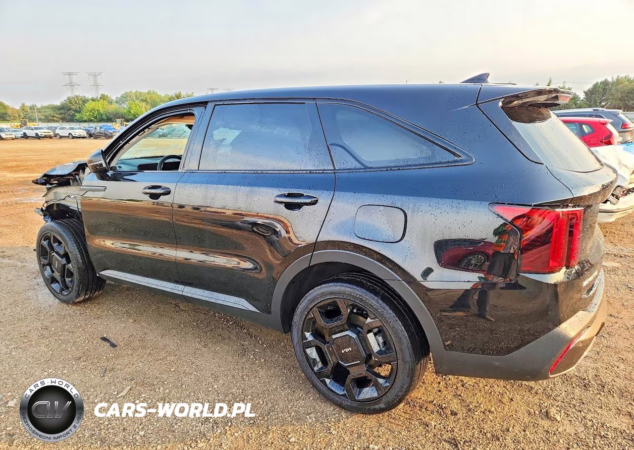 2024 Kia Sorento X-Line Sx VIN:5XYRKDJF4RG254765 - 2