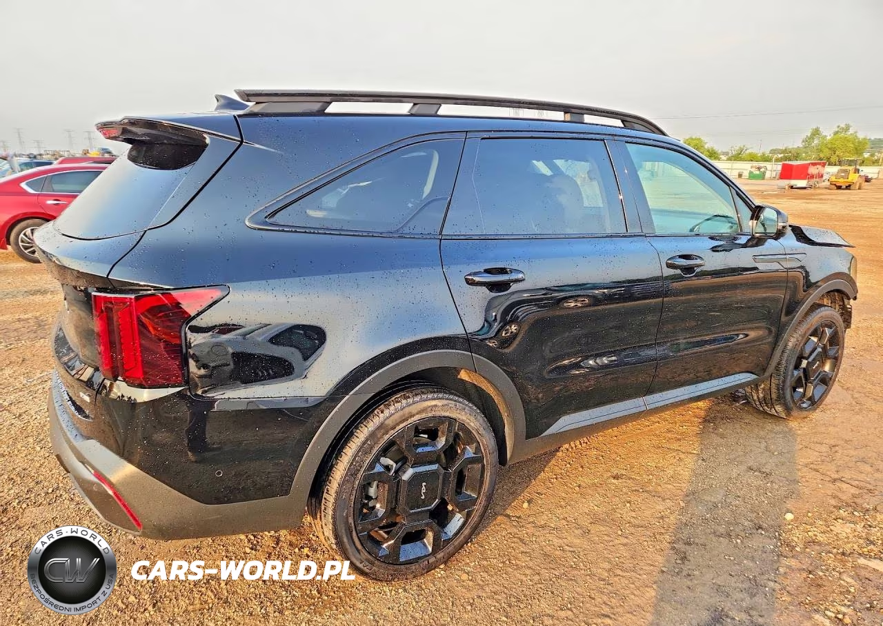 2024 Kia Sorento X-Line Sx VIN:5XYRKDJF4RG254765 - 3
