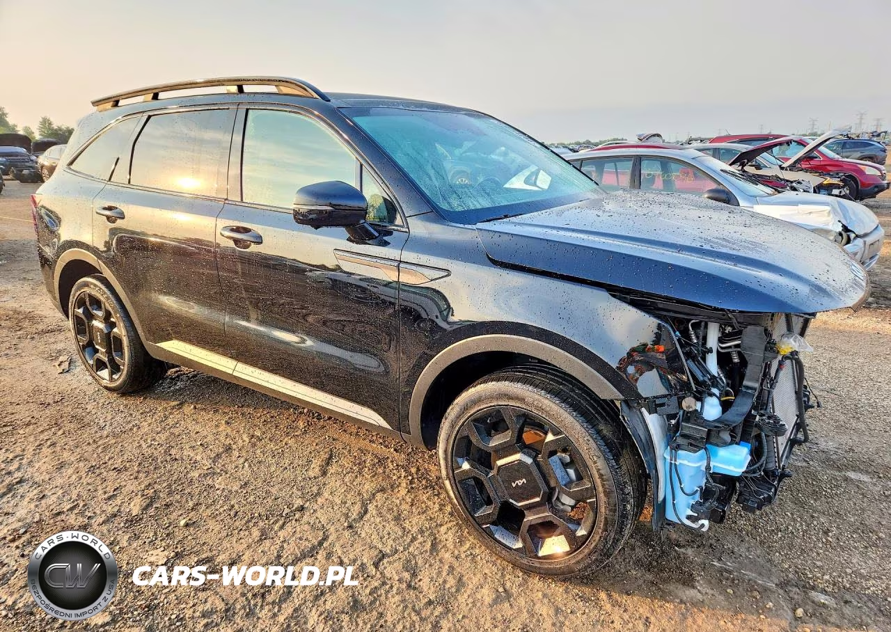 2024 Kia Sorento X-Line Sx VIN:5XYRKDJF4RG254765 - 4