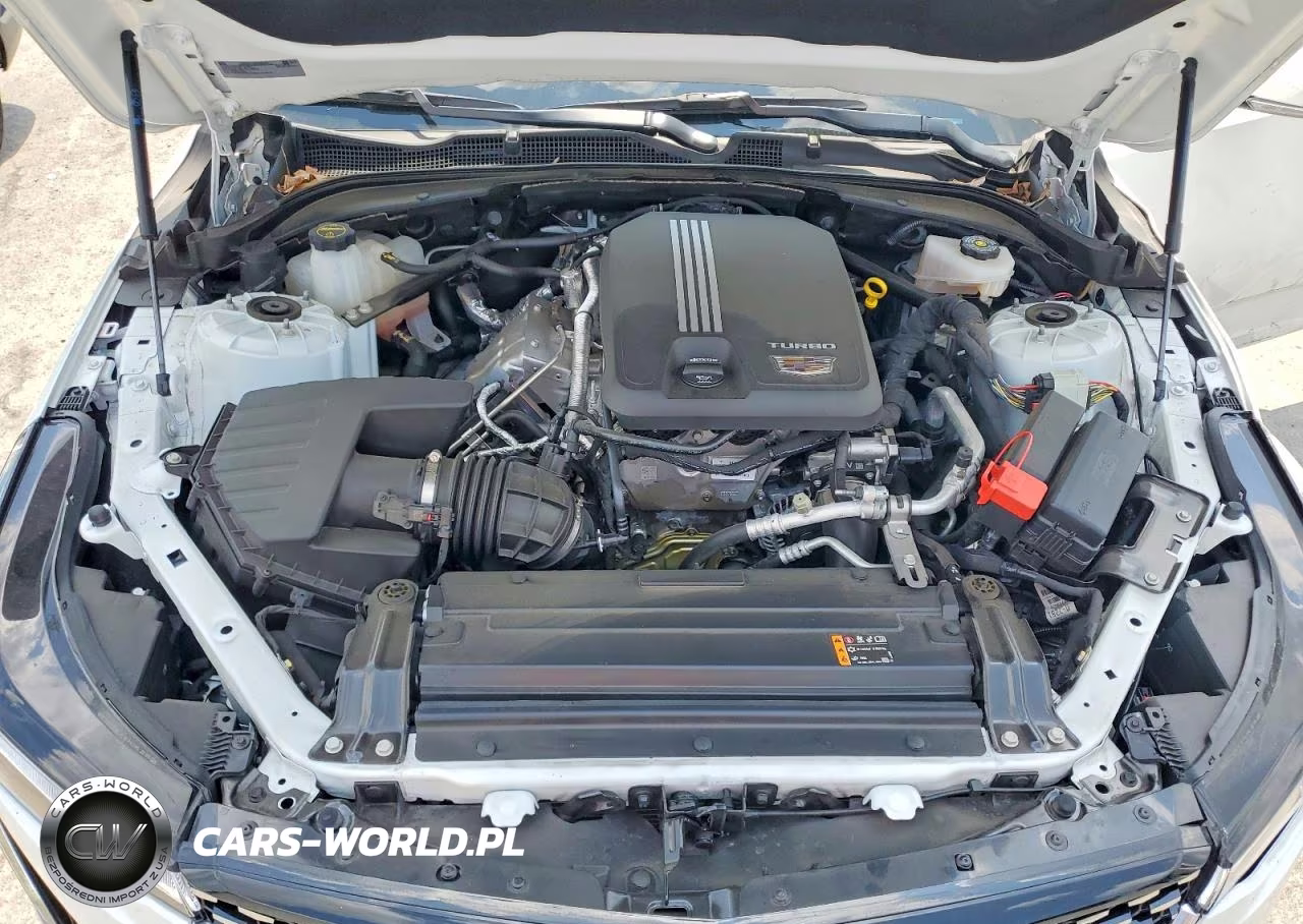 2024 Cadillac Ct4 Premium Luxury VIN:1G6DB5RK2R0115633 - 11