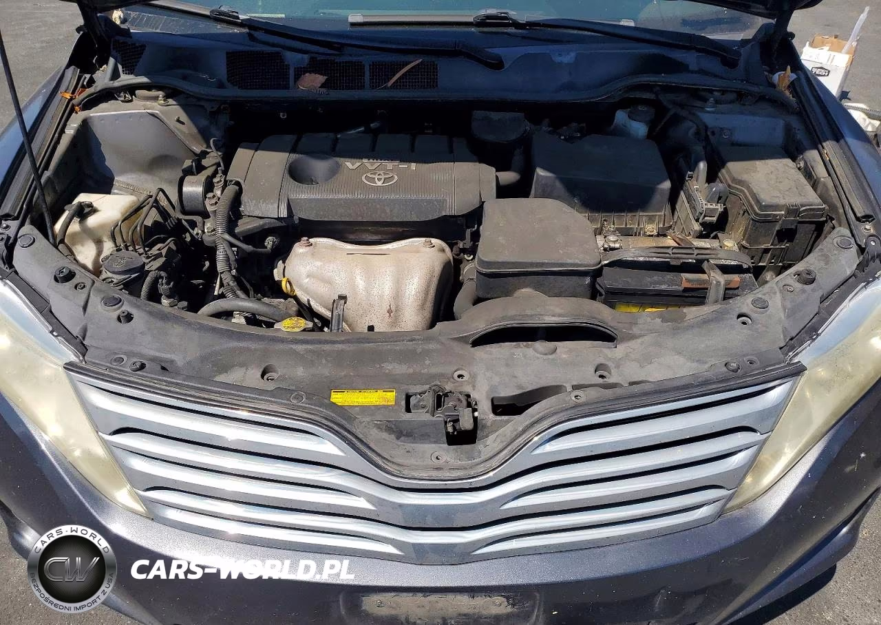 2009 Toyota Venza Fwd 4Cyl VIN:4T3ZE11A19U008803 - 11