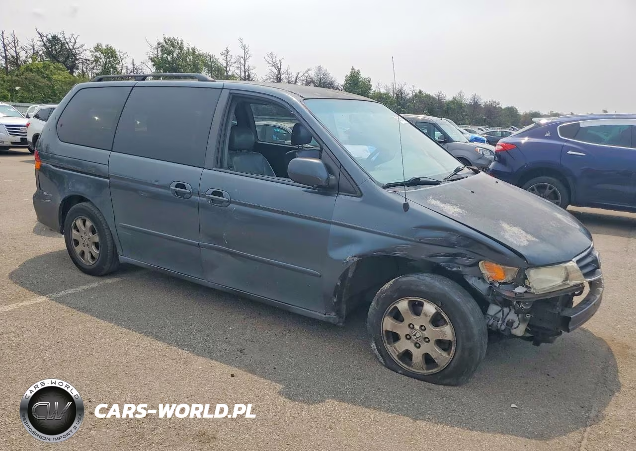 2004 Honda Odyssey Exl VIN:5FNRL18944B009704 - 4