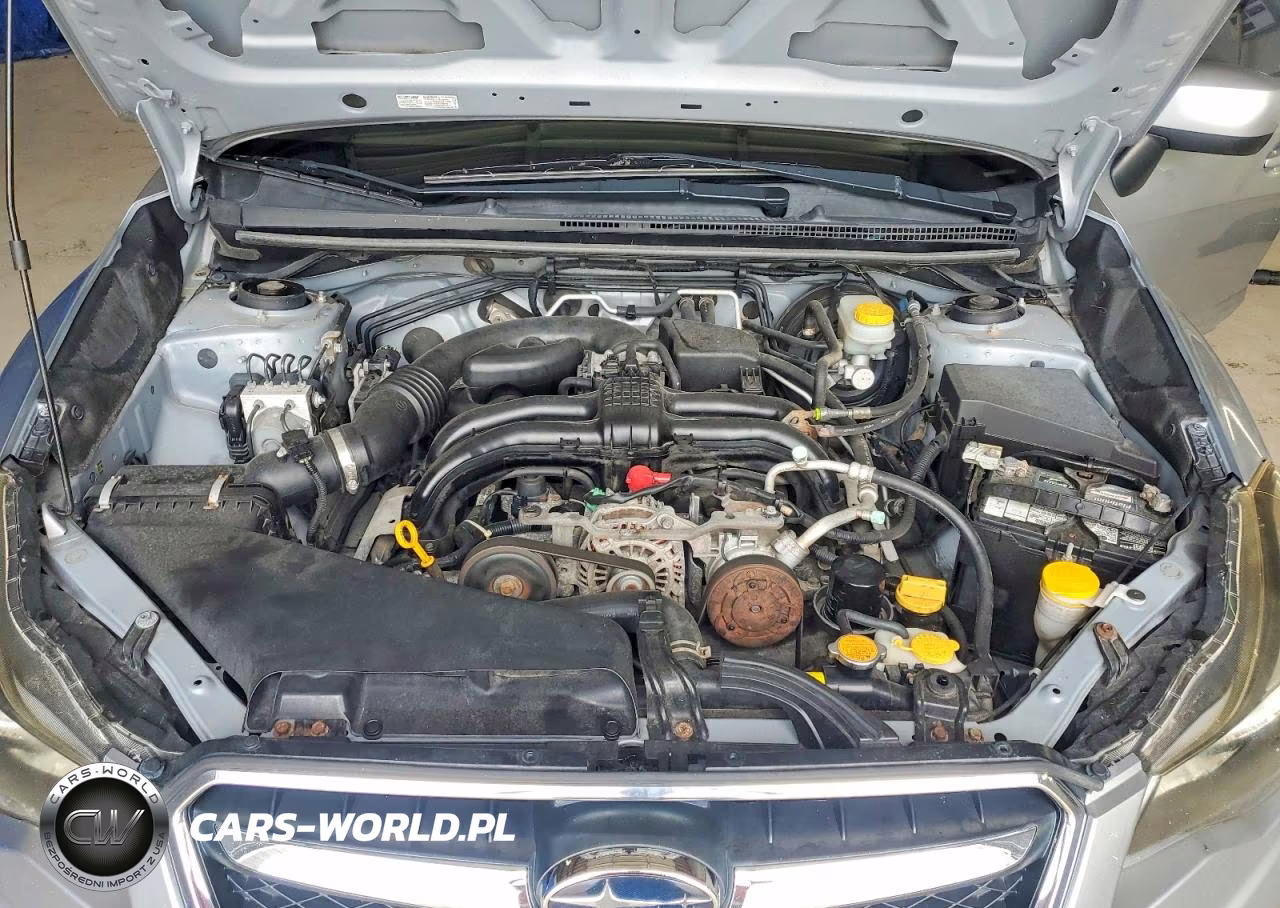 2013 Subaru Xv Crosstrek 2.0 Premium VIN:JF2GPACC0DG875034 - 12