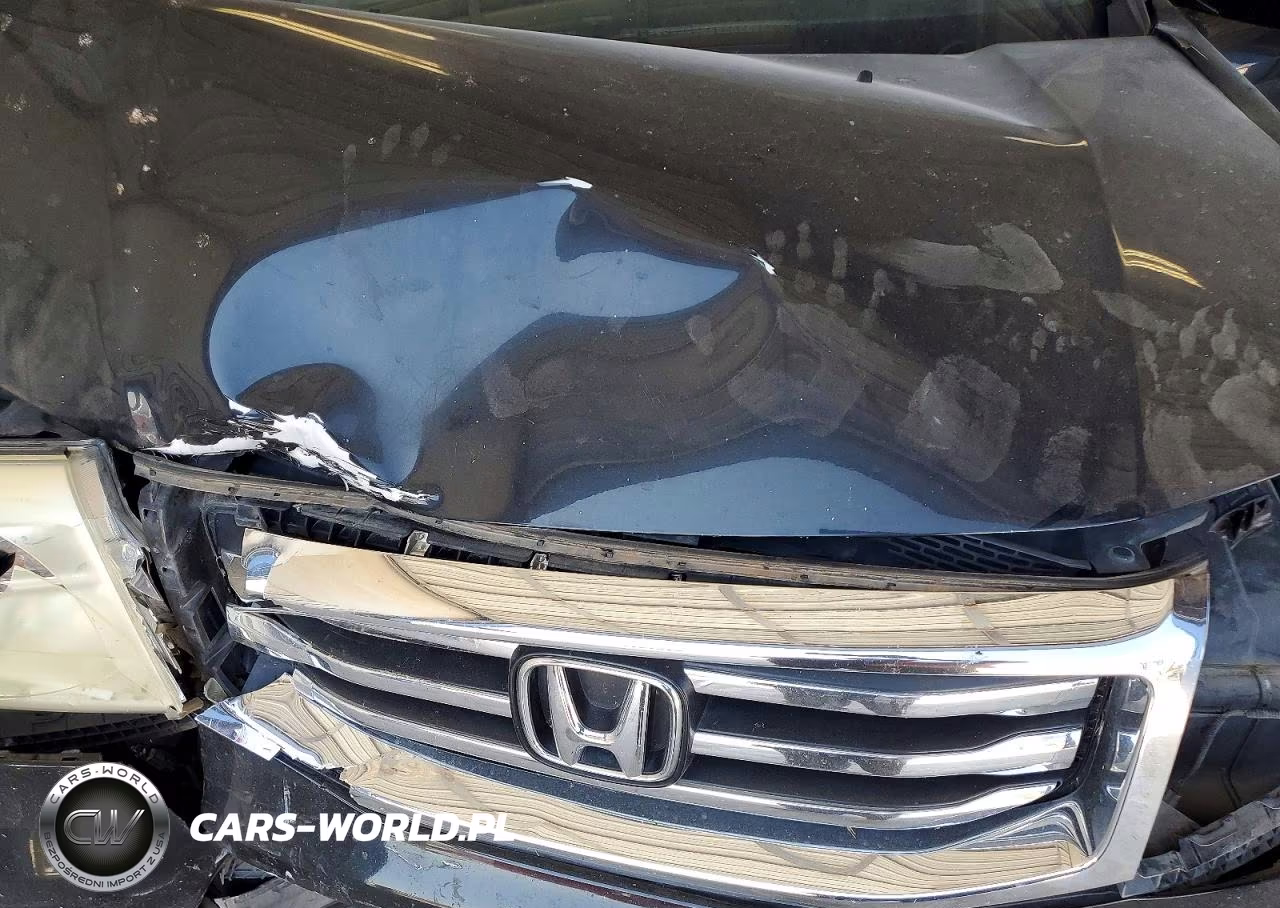 2014 Honda Pilot Lx VIN:5FNYF3H23EB023953 - 12