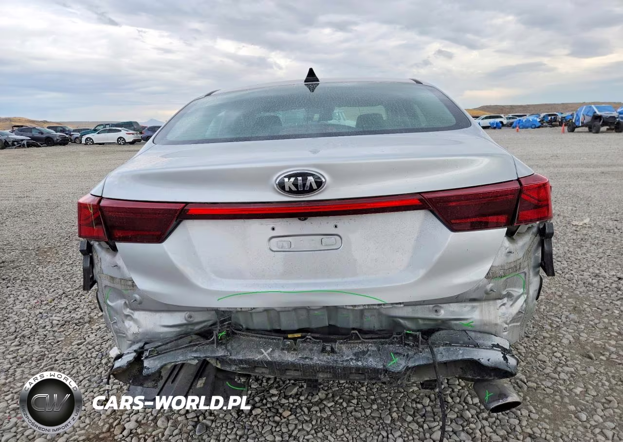 2019 Kia Forte Lxs VIN:3KPF24ADXKE115745 - 6