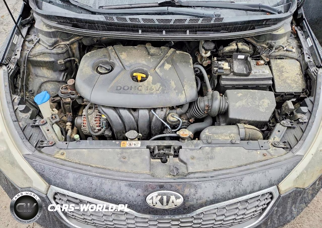2015 Kia Forte Lx VIN:KNAFK4A62F5337633 - 11