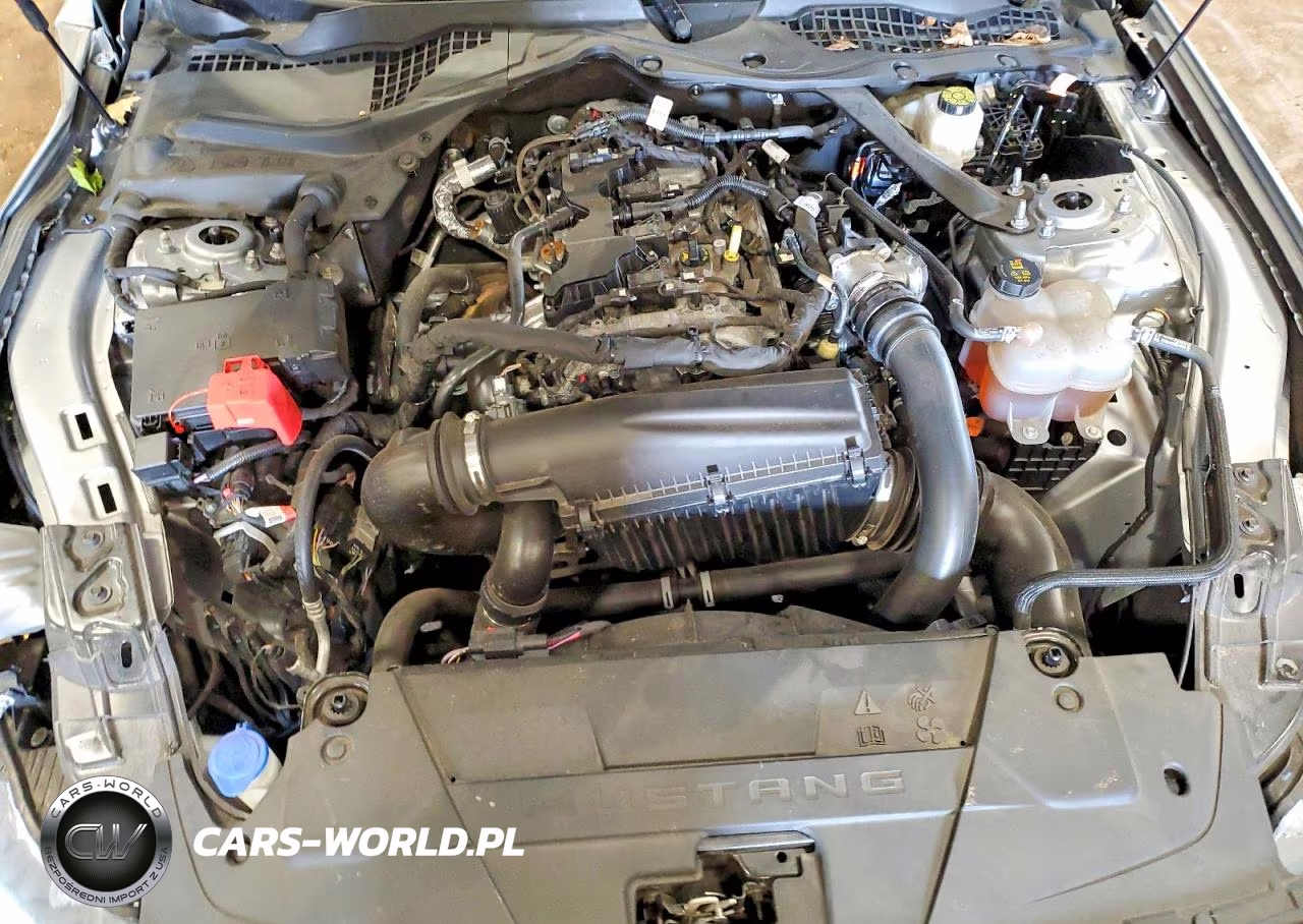 2024 Ford Mustang VIN:1FAGP8UH0R5117284 - 11