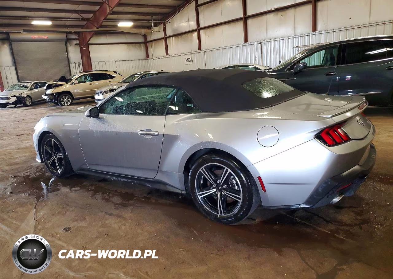 2024 Ford Mustang VIN:1FAGP8UH0R5117284 - 2