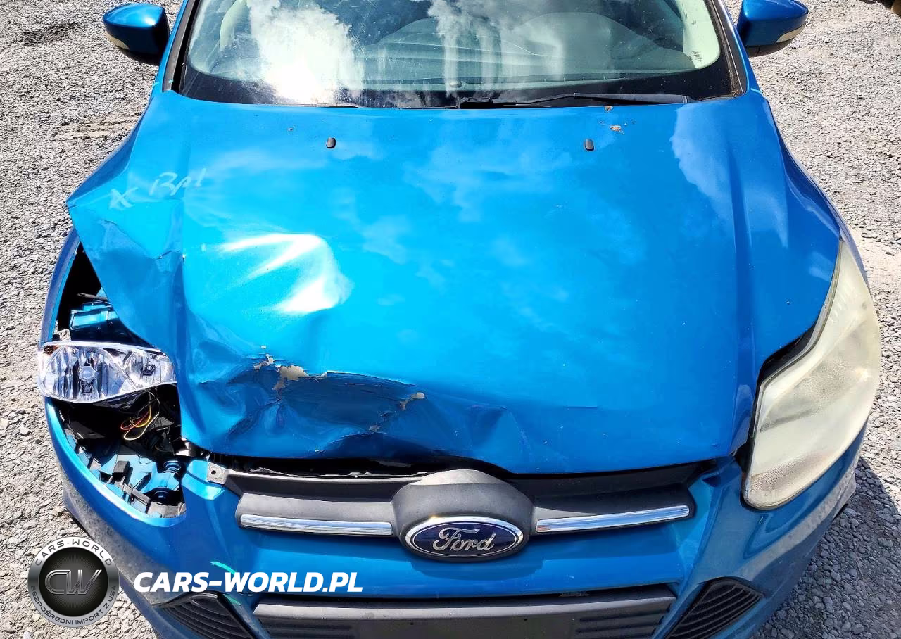2013 Ford Focus Se VIN:1FADP3F22DL299864 - 11