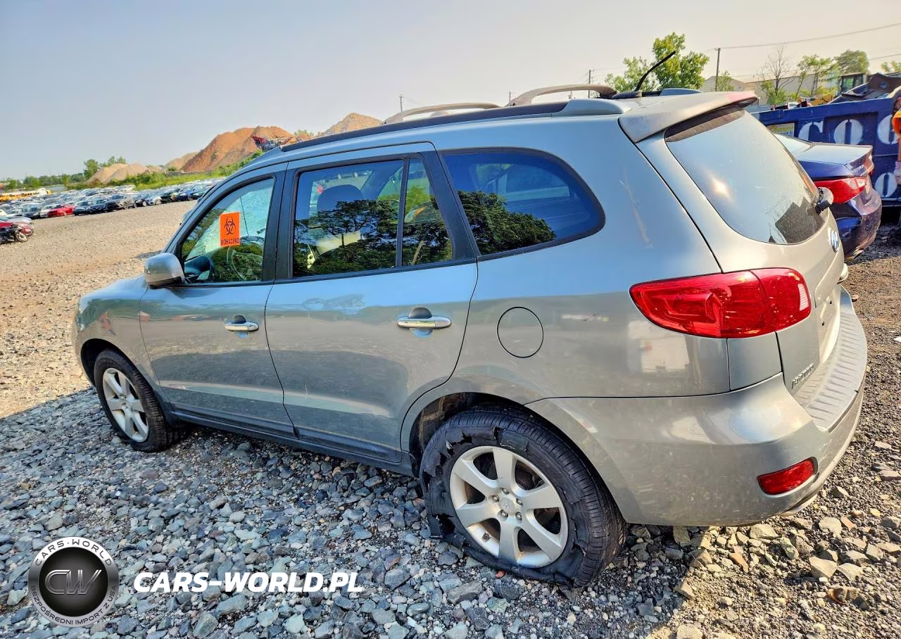 2009 Hyundai Santa Fe Limited VIN:5NMSH73E89H289529 - 2